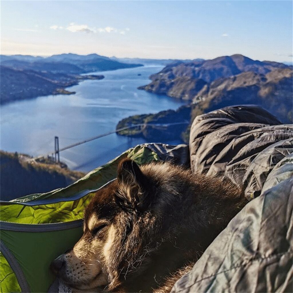 Sustainable Camping Gear: Choosing Eco-Friendly Equipment