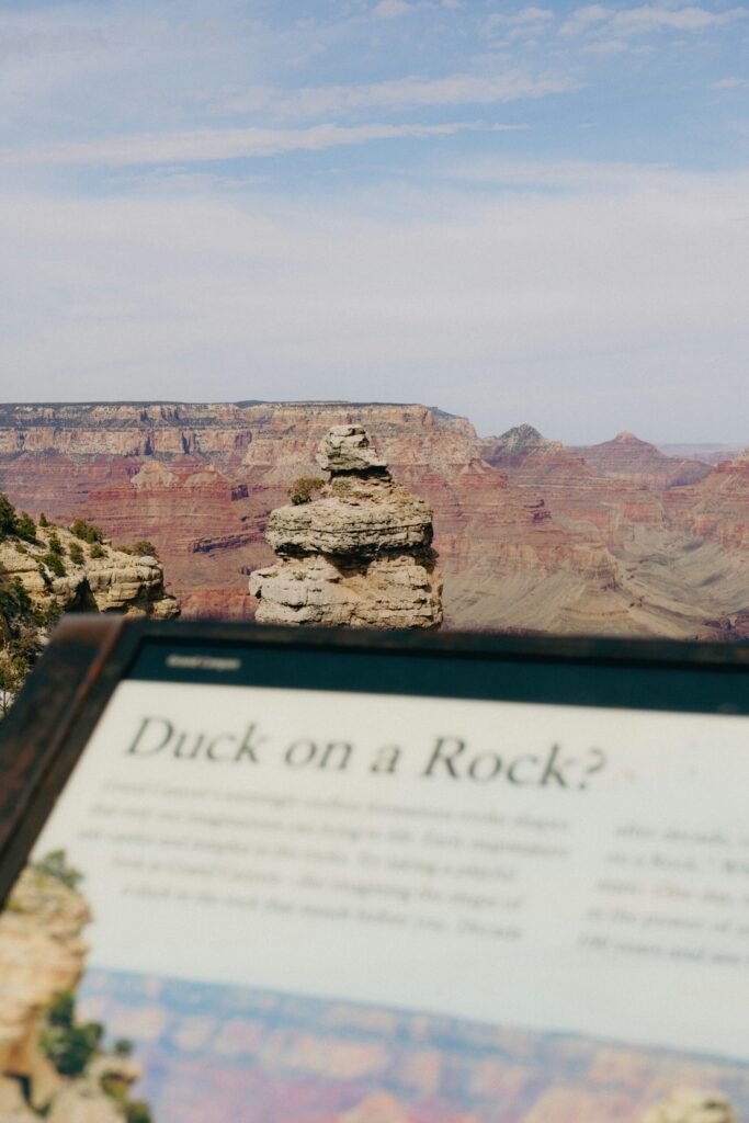 Adventure and Exploration Opportunities